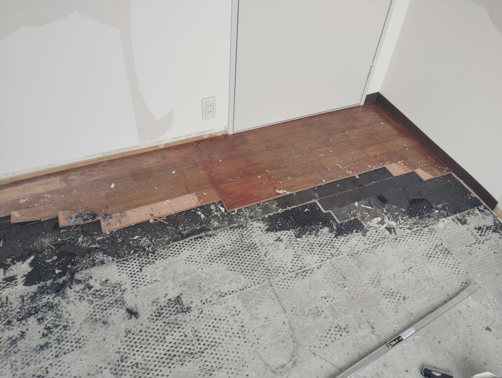 IMG_20240830_100551_copy_2762x2080