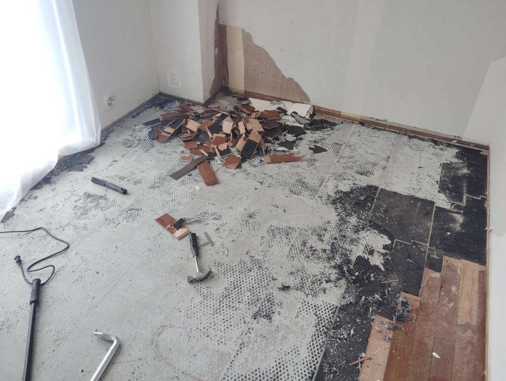 IMG_20240830_100556_copy_2607x1963