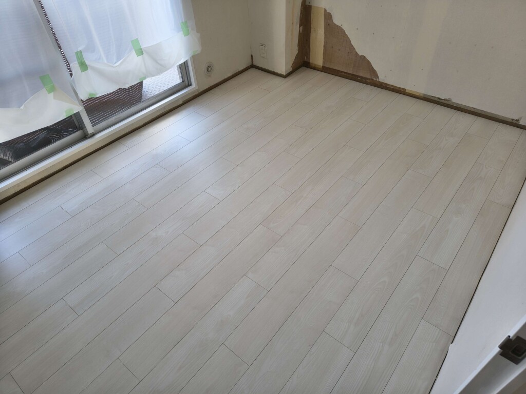 IMG_20260102_152437058_HDR_copy_3428x2571