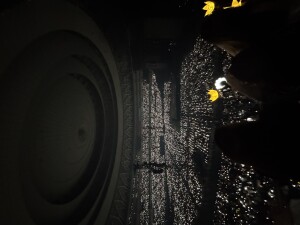 IMG_7169