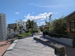 PXL_20260710_071328177